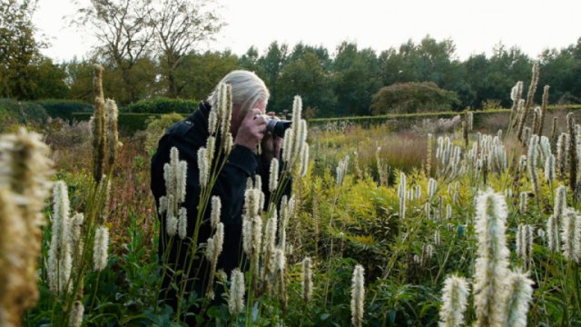 Five Seasons: The Gardens Of Piet Oudolf